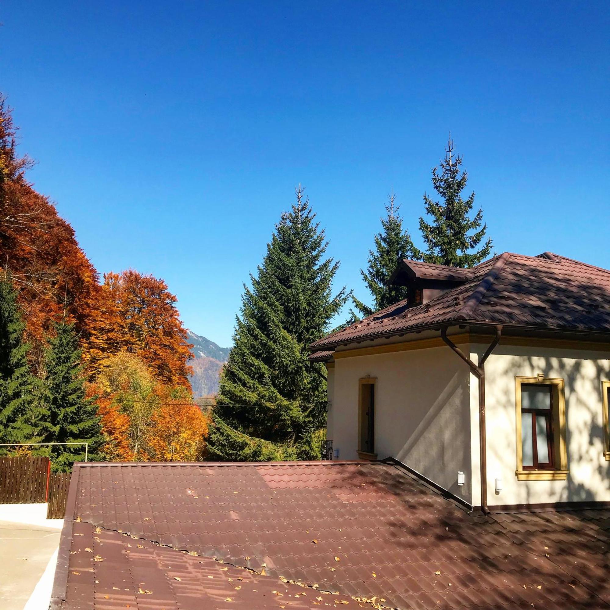 Pension Casa Del Sol Predeal Eksteriør billede